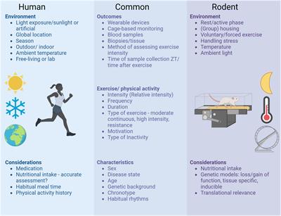 Editorial: Circadian rhythms and exercise in cardiometabolic health